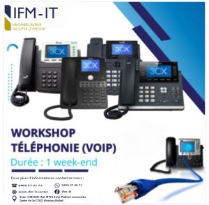 Workshop-VoIP