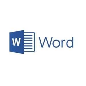 Formation Microsoft Word